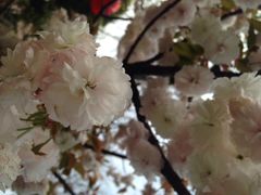 雨花胜境-雨花胜境