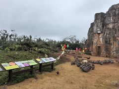 -海南热带野生动植物园
