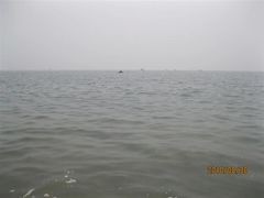 -泊石湾海滨浴场