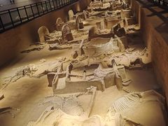 -洛阳周王城天子驾六博物馆