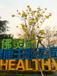 -佛灵湖水上乐园
