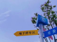 -悦见花开·花园里的火锅·露营·下午茶