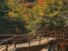 -安徽天堂寨风景区