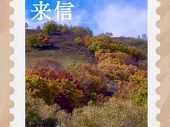 -御道口草原森林风景区