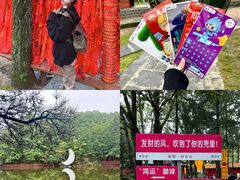 -洛阳白云山景区