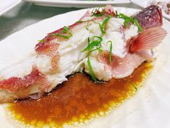 清蒸东星斑-四川小胡子海鲜(丁村万人海鲜广场店)