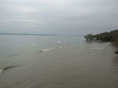 -宝安西湾红树林湿地公园