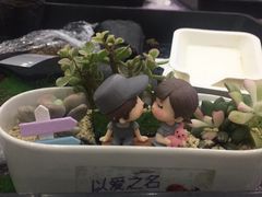 -伊丽莎白妇科医院·早孕检查