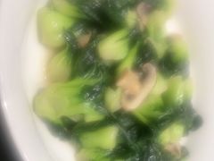 -紫阳富豪大酒店(惠南店)