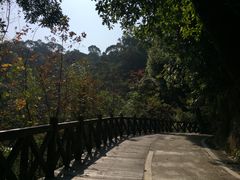 -广州市流溪河国家森林公园