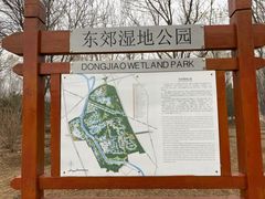 -东郊湿地公园