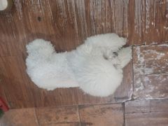 -默迹咖啡馆