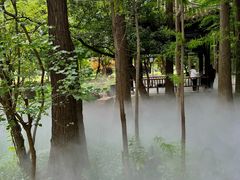 -东湖落雁景区