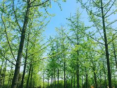 -洨河生态公园