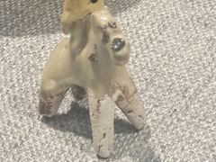 -抚顺煤矿博物馆