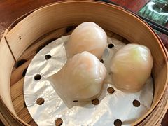 榕江虾饺皇-榕江春·点心荟