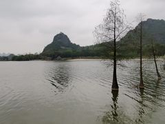 -南宁花花大世界景区