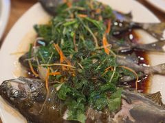 -揭阳钟记小食(福田新村店)