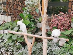 -南宫五洲植物乐园