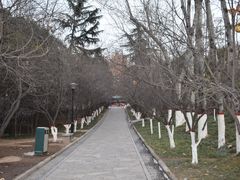 -西安市长乐公园