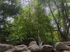 -湖泉半山温泉(湖泉生态园)