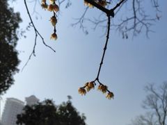 -阳明祠