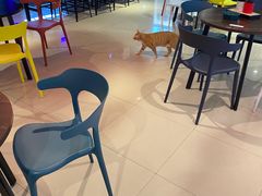 -嘉亿台球俱乐部(观前店)