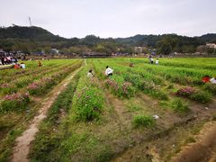 -红山村