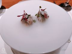 傍林鲜-觀芷隐轩