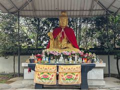 -上海佘山国家森林公园天马山园