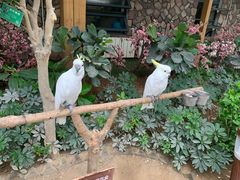 -南宫五洲植物乐园