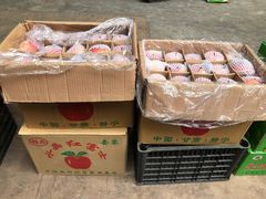 -双福水果批发市场