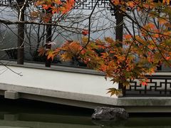 -秋霞圃