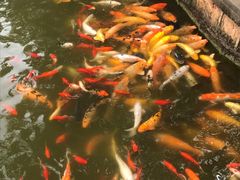 景点-月牙潭公园