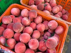 -老鼎万春卤菜(五代传承创始老店)