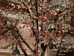 -蜜桃餐厅·伴山(湖滨商业街店)