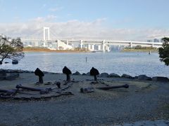 -台场海滨公园船码头