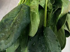-大草原清真饭庄(沙河店)