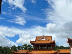-深圳仙湖植物园