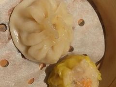 皇家太平洋酒店-香港皇家太平洋酒店