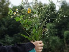 -白鹭湾湿地公园