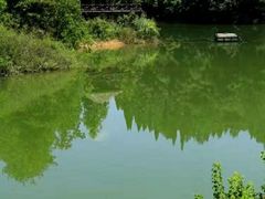 -千岛湖龙川湾