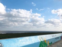 -南汇嘴观海公园