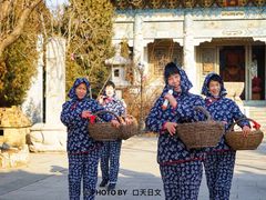 -韩家民俗村