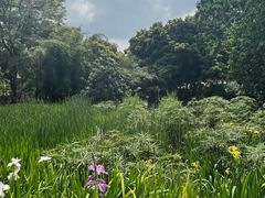 -成都市活水公园