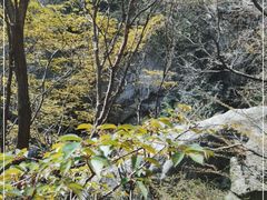 -西安祥峪森林公园