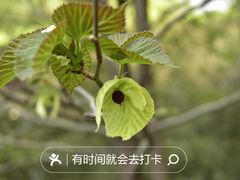 -国家植物园