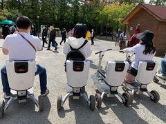 -黄海国家森林公园