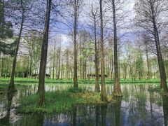 -西溪国家湿地公园