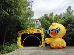 -苏州太湖国家湿地公园